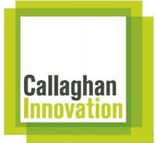 Health and Safety Template Training supported by Callaghan Innovation