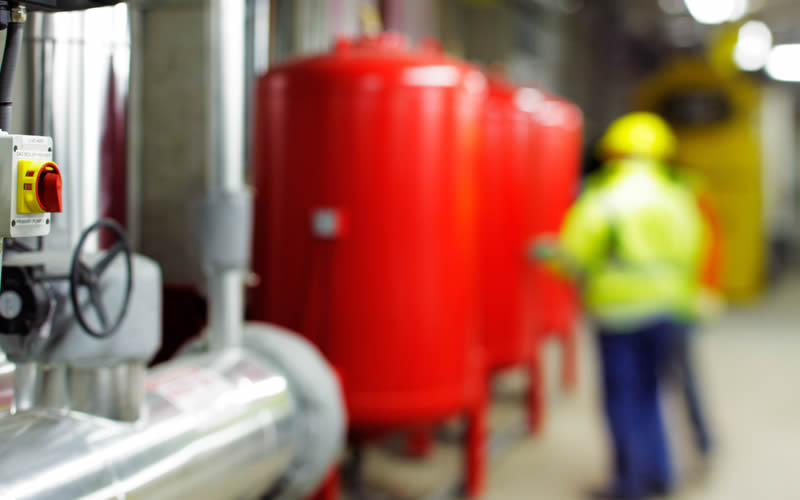 Health and Safety Consultant
