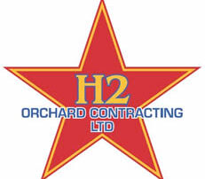 H2 Logo
